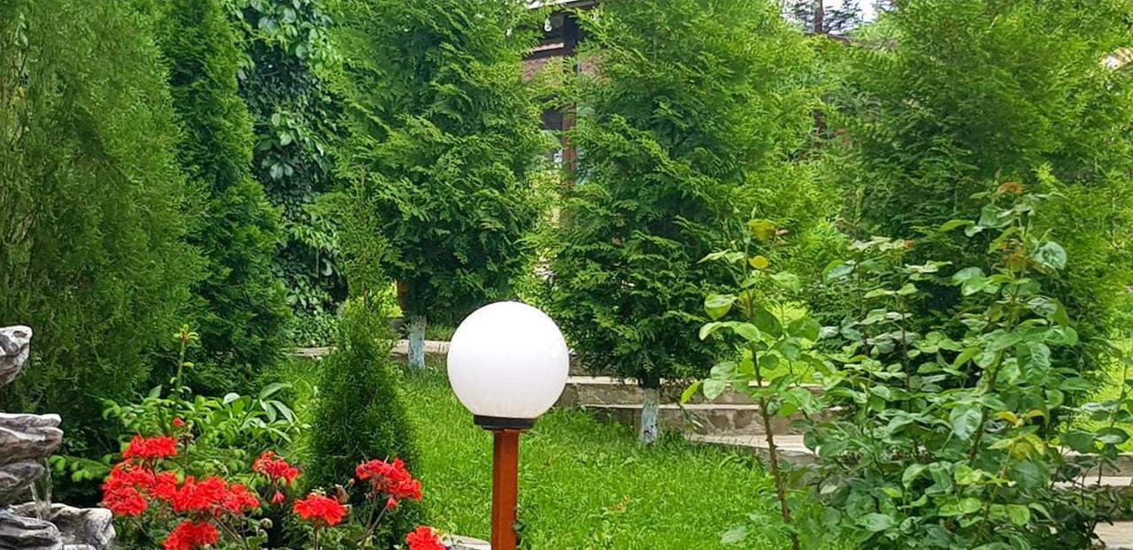 Hotel Casa Alex Sărata-Monteoru Exterior foto
