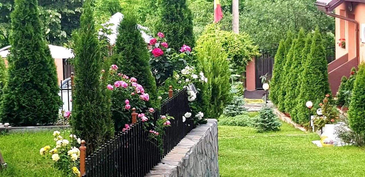 Hotel Casa Alex Sărata-Monteoru Exterior foto