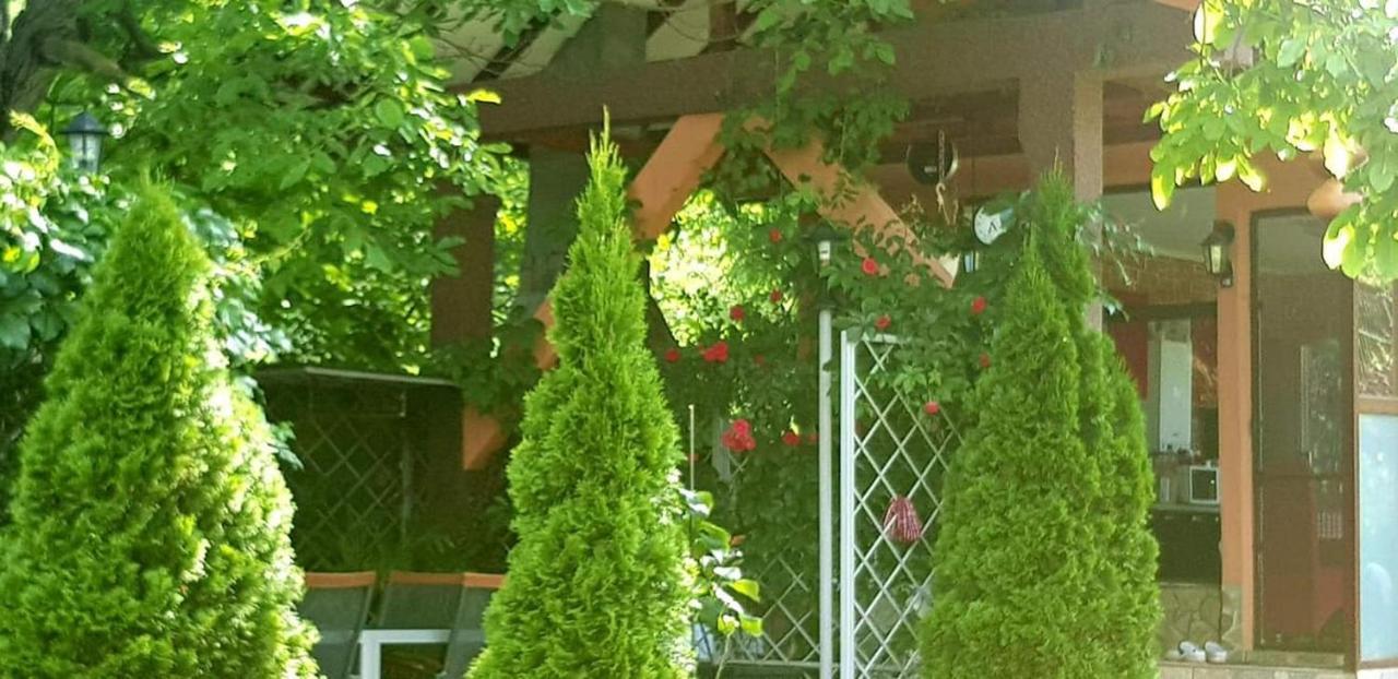 Hotel Casa Alex Sărata-Monteoru Exterior foto