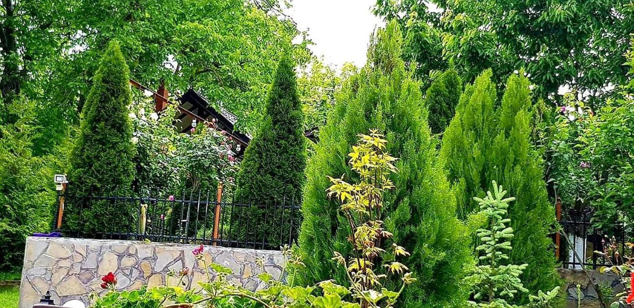 Hotel Casa Alex Sărata-Monteoru Exterior foto