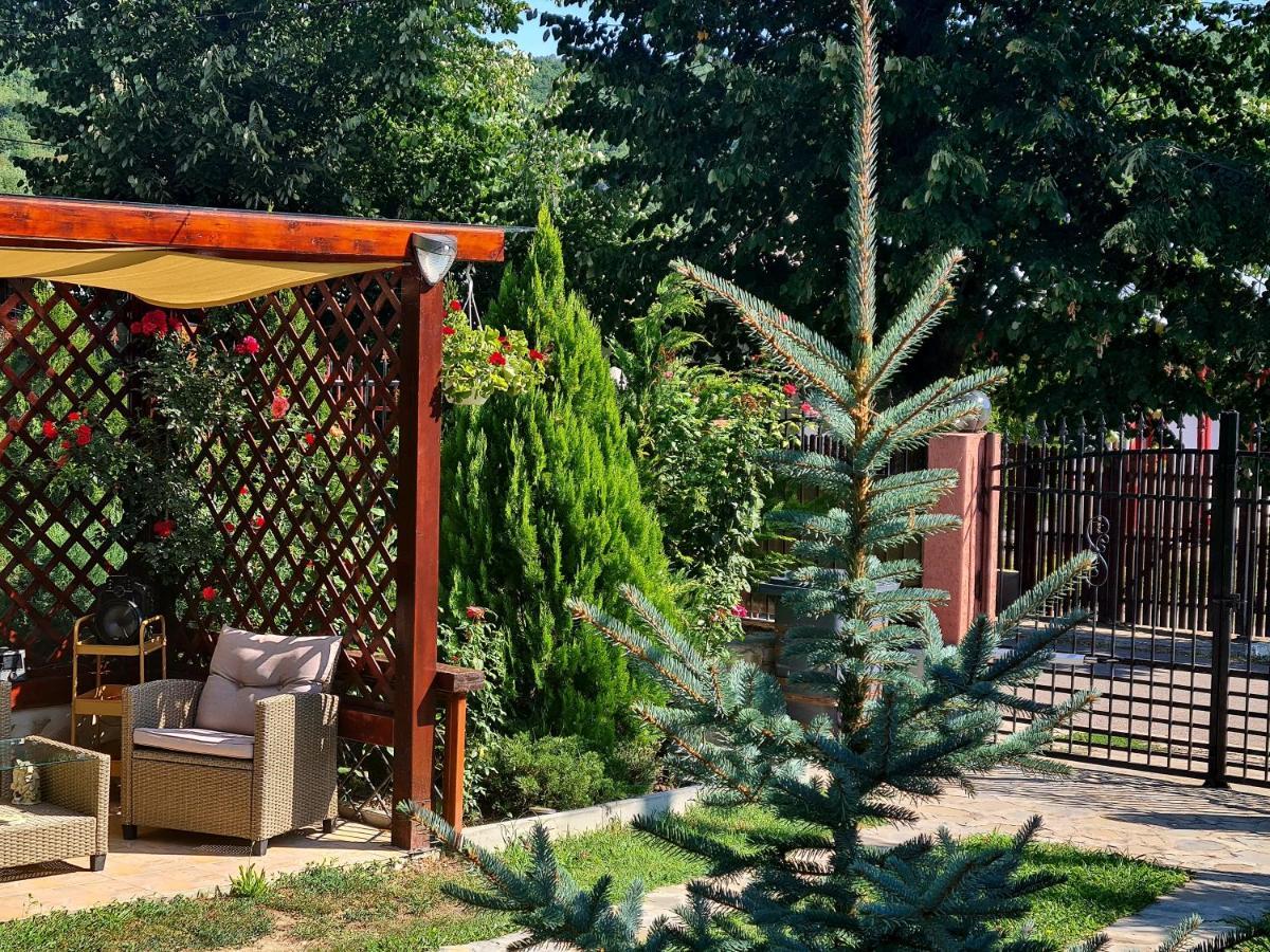 Hotel Casa Alex Sărata-Monteoru Exterior foto