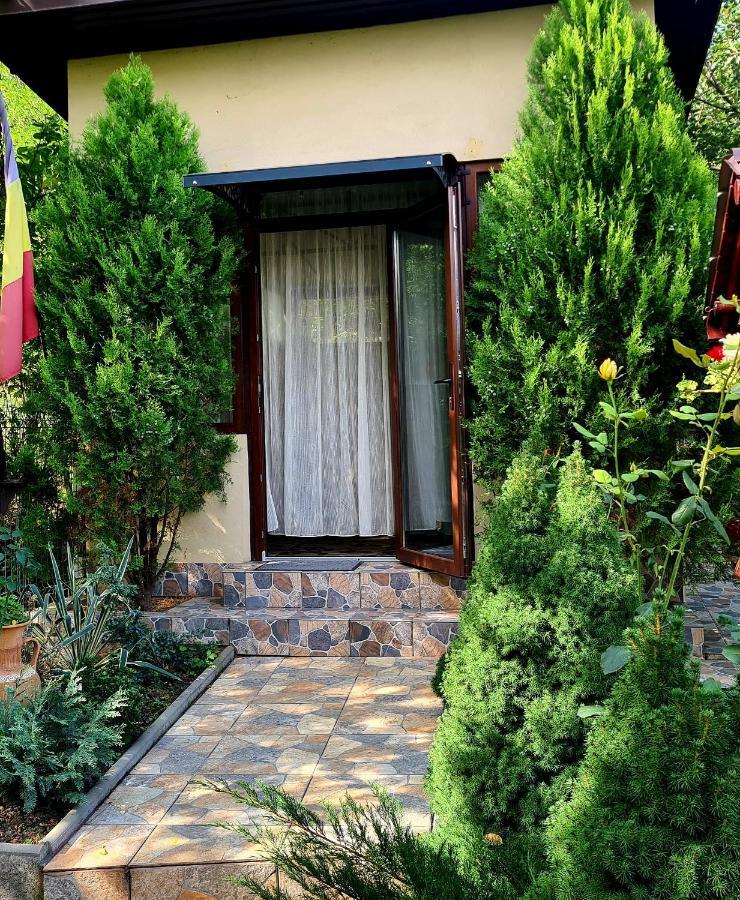 Hotel Casa Alex Sărata-Monteoru Exterior foto