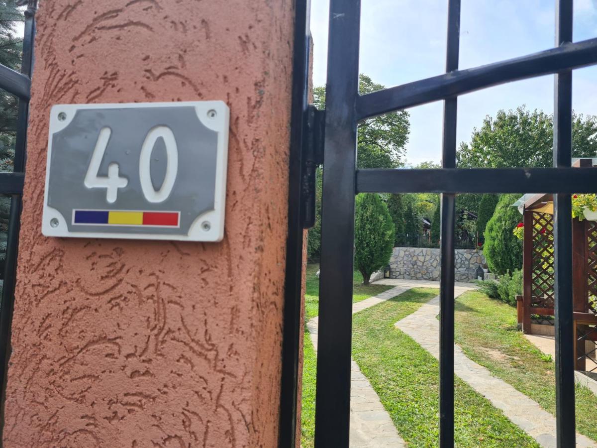 Hotel Casa Alex Sărata-Monteoru Exterior foto
