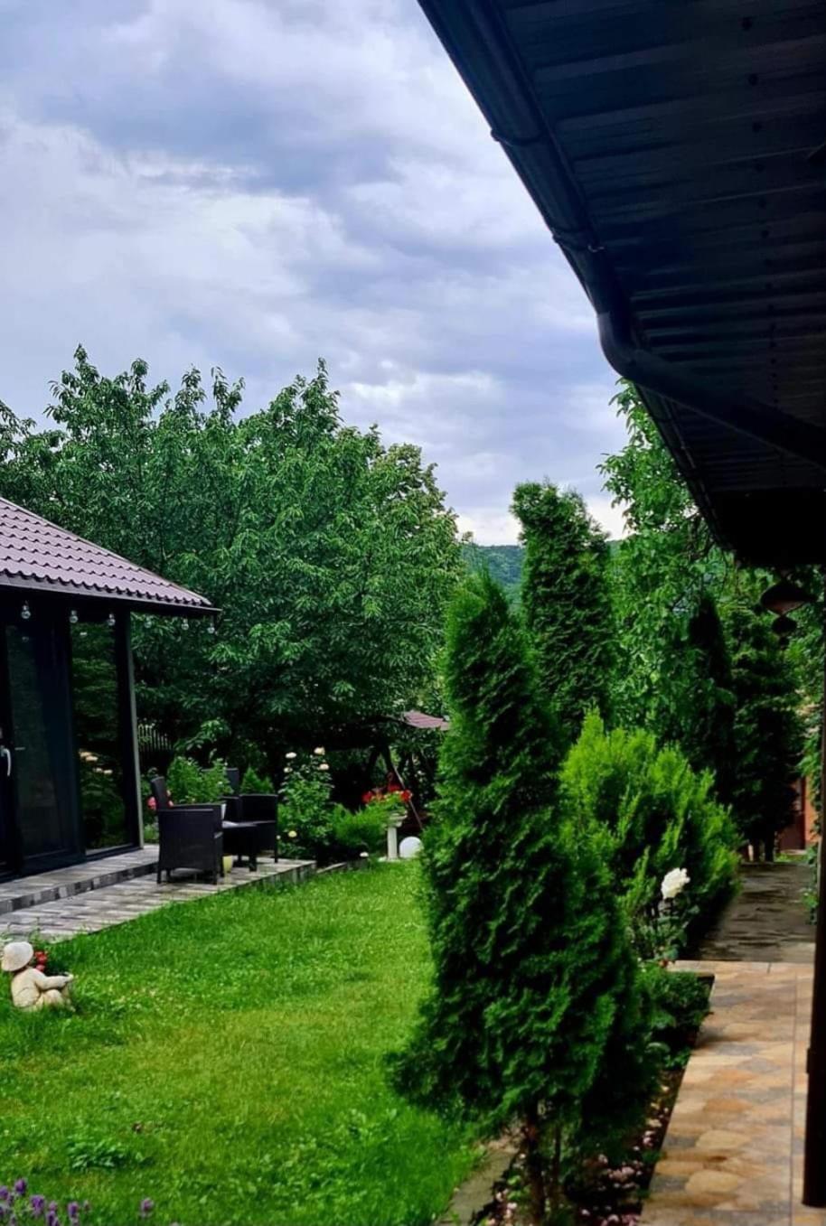 Hotel Casa Alex Sărata-Monteoru Exterior foto