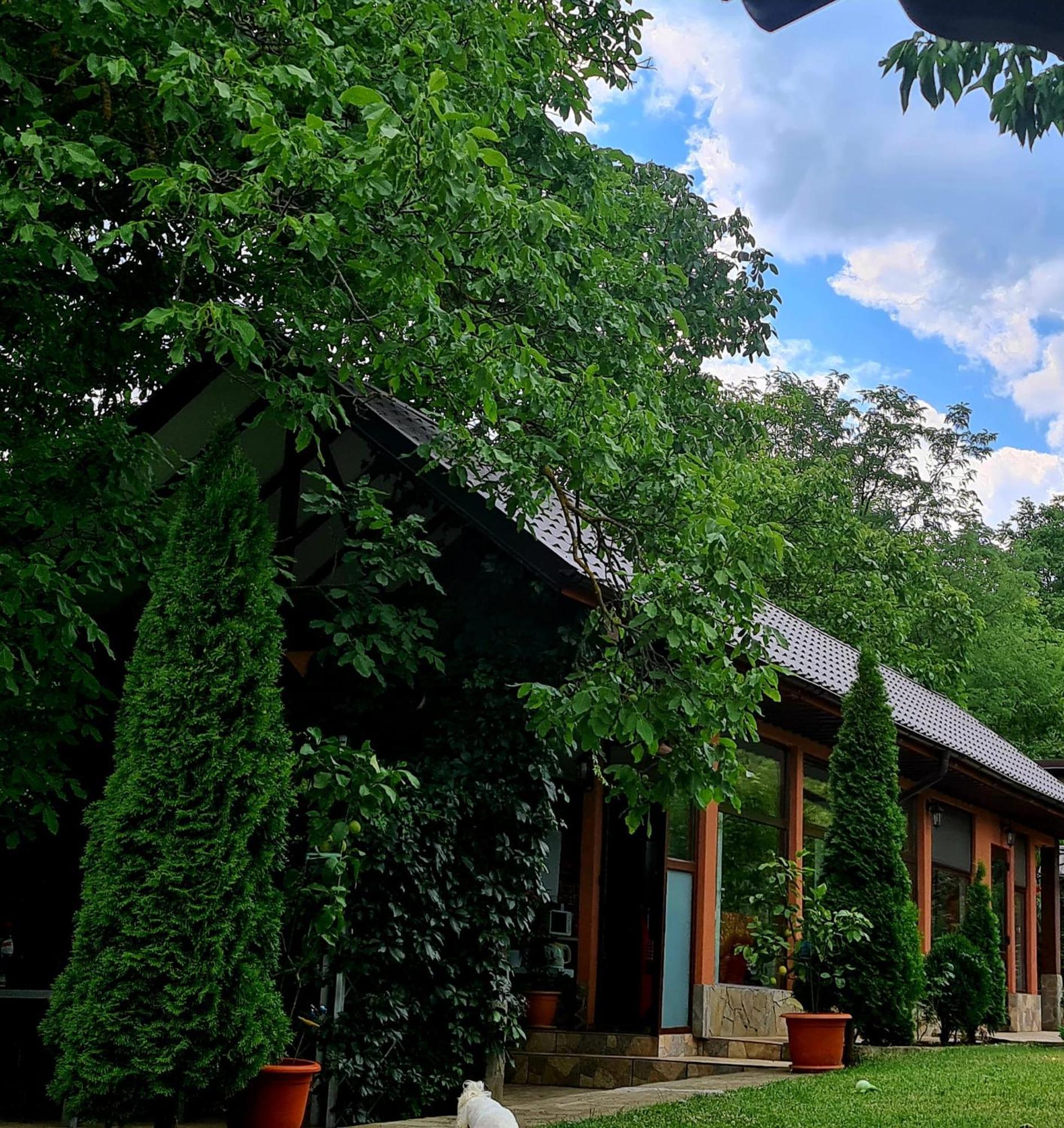 Hotel Casa Alex Sărata-Monteoru Exterior foto